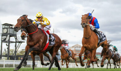 Sir Delius Wins Underwood Stakes 2025, Firms in Melbourne Cup Betting