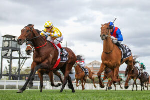 Sir Delius winning the 2025 Underwood Stakes