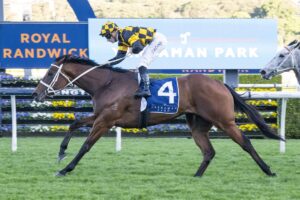 Joliestar Dominates The Shorts 2025, Climbs Everest Odds
