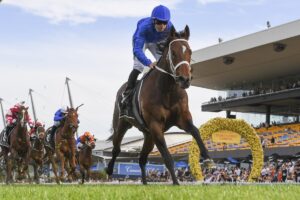 2025 Golden Rose Stakes winner Beiwacht
