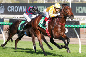 2025 Turnbull Stakes winner Sir Delius