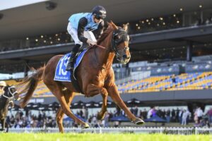 Half Yours Dominant 2025 Caulfield Cup Favourite in 18-Horse Field