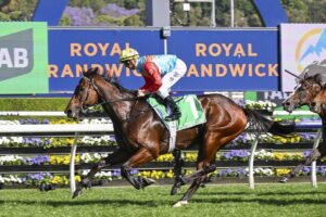 2025 The Everest winner Ka Ying Rising