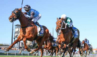 Head-to-Head Showdown Highlights Select Doomben Cup 2026 Line-Up