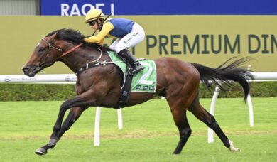 Punters Rally Behind Unbeaten Warwoven in 2026 Magic Millions 2YO Classic