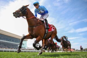 Tentyris Leads Elite Sprint Field in 2026 Black Caviar Lightning