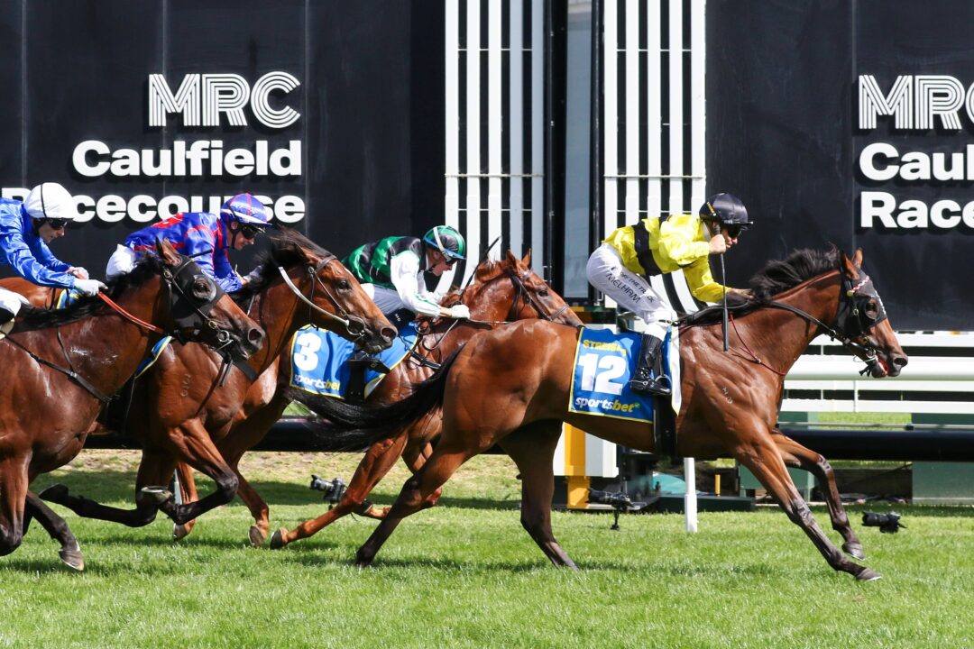 Caulfield Racecourse - Melbourne Racing