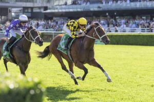 Derby Star Observer Eyes Group 1 Double in 2026 Australian Guineas
