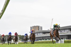 2026 Randwick Guineas winner Sheza Alibi