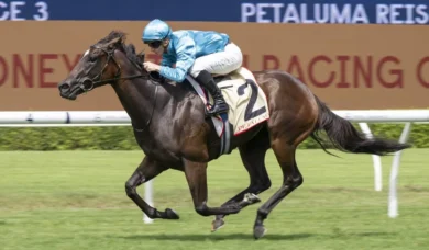 Chayan Chases Filly Hat-Trick in 2026 Golden Slipper