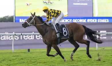 Perfect 12? Autumn Glow Heavily Backed to Extend Picket Fence in Queen Elizabeth