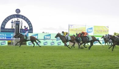 Victorian Raider Guest House Stuns Rivals in 2026 Golden Slipper