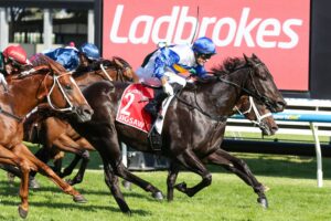 2026 William Reid Stakes winner Jigsaw