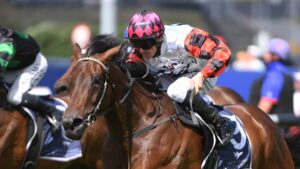 Waller’s Kiwi Queen Ohope Wins Set to Reign in 2026 Vinery Stud Stakes