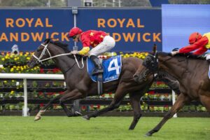Campione D’Italia Smashes 2026 Inglis Sires’ Rivals; Champagne Stakes Odds Slashed