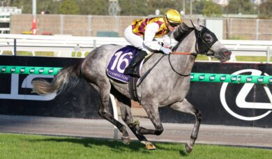 Emergency Entry Accidental Bid Favoured to Secure 2026 South Australian Derby