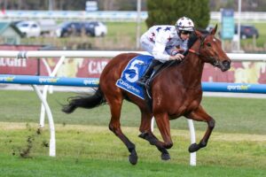 2026 Moir Stakes Field & Betting: Natural Fling