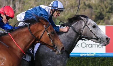 2026 Moir Stakes Winner My Gladiola Secures First Group 1