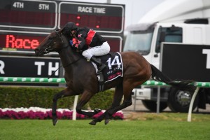 Away Game Horse Form (Photo: Steve Hart) | Races.com.au