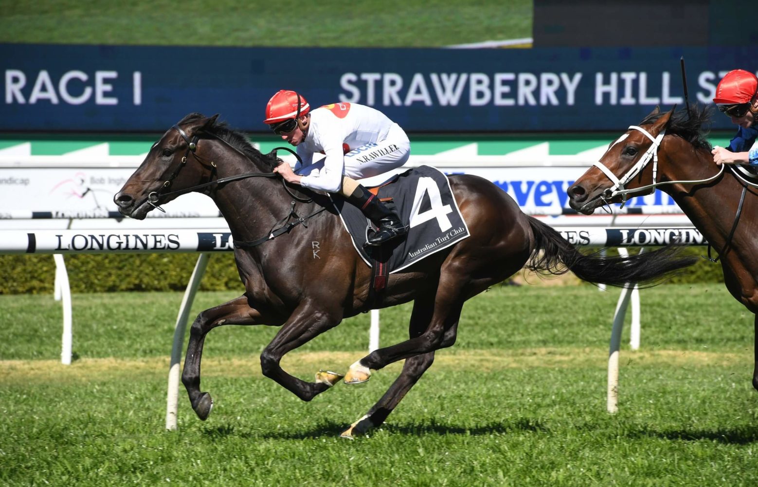 Yao Dash Horse Form (Photo: Steve Hart) | Races.com.au