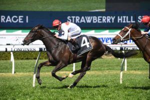 Yao Dash Horse Form (Photo: Steve Hart) | Races.com.au