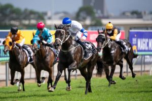 Shaquero Horse Form (Photo: Steve Hart) | Races.com.au