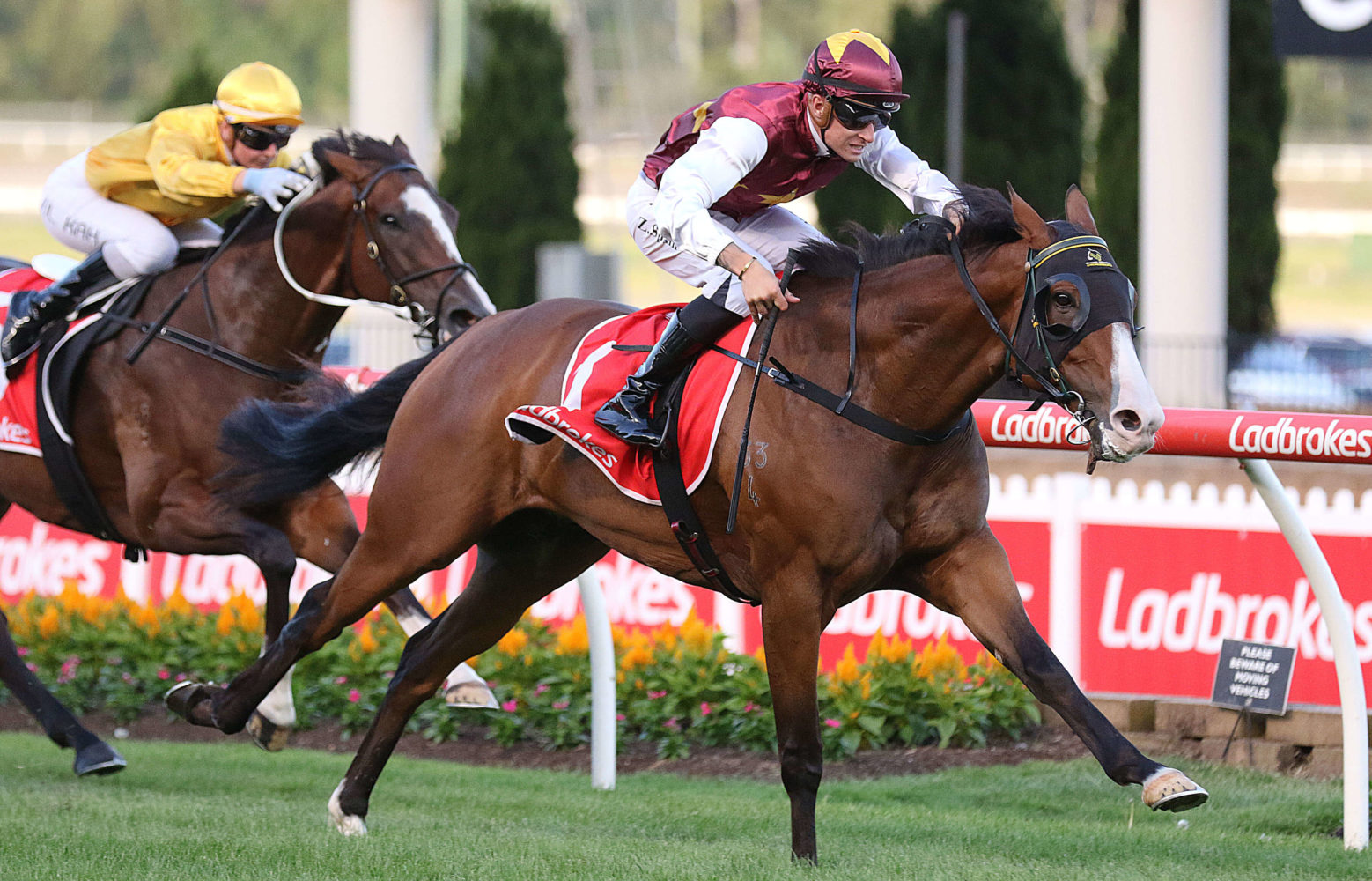Streets Of Avalon Horse Form (Photo: Ultimate Racing Photos) | Races.com.au