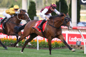 Streets Of Avalon Horse Form (Photo: Ultimate Racing Photos) | Races.com.au