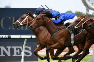 Zethus Horse Form (Photo: Steve Hart) | Races.com.au
