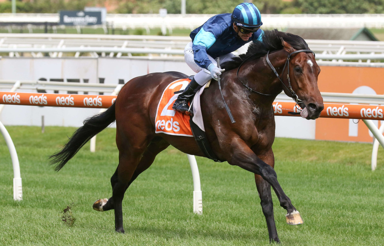 Portland Sky Horse Form (Photo: Ultimate Racing Photos) | Races.com.au