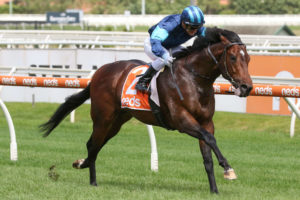 Portland Sky Horse Form (Photo: Ultimate Racing Photos) | Races.com.au