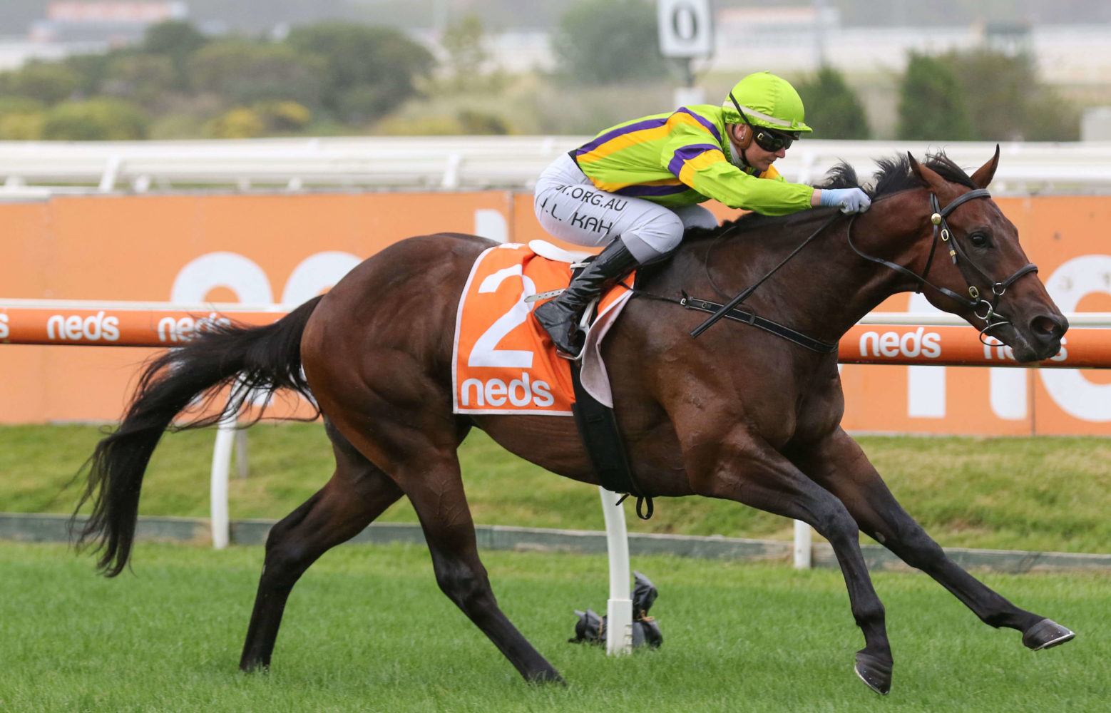 General Beau Horse Form (Photo: Ultimate Racing Photos) | Races.com.au