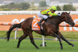 General Beau Horse Form (Photo: Ultimate Racing Photos) | Races.com.au