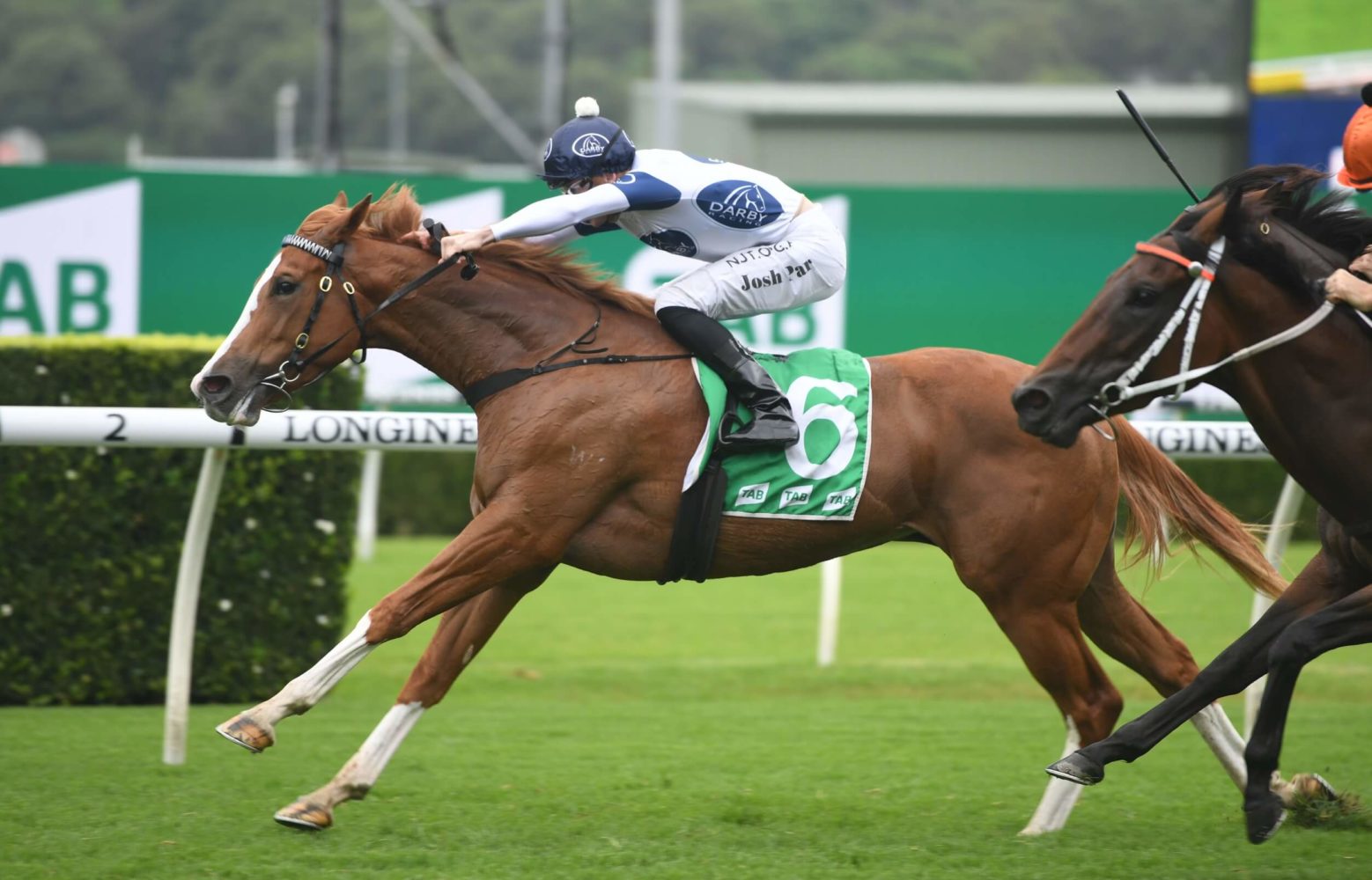 Every Rose Horse Form (Photo: Steve Hart) | Races.com.au