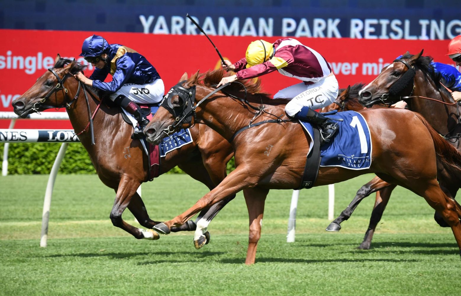 Glistening (Inside). Photo: Steve Hart | Races.com.au