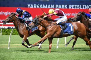 Glistening (Inside). Photo: Steve Hart | Races.com.au