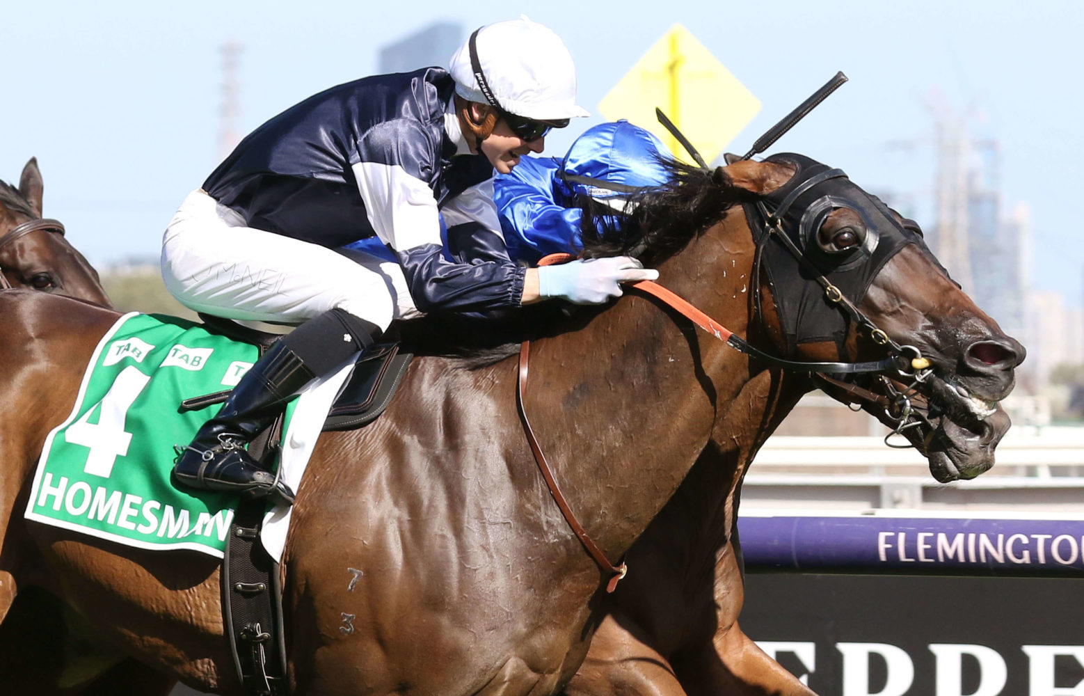 Homesman Horse Form (Photo: Ultimate Racing Photos) | Races.com.au