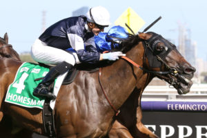 Homesman Horse Form (Photo: Ultimate Racing Photos) | Races.com.au