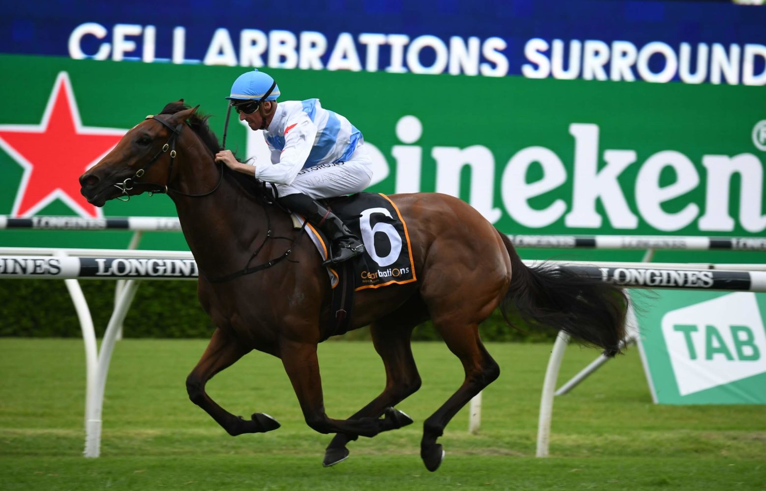 Forbidden Love (Photo: Steve Hart) | Races.com.au
