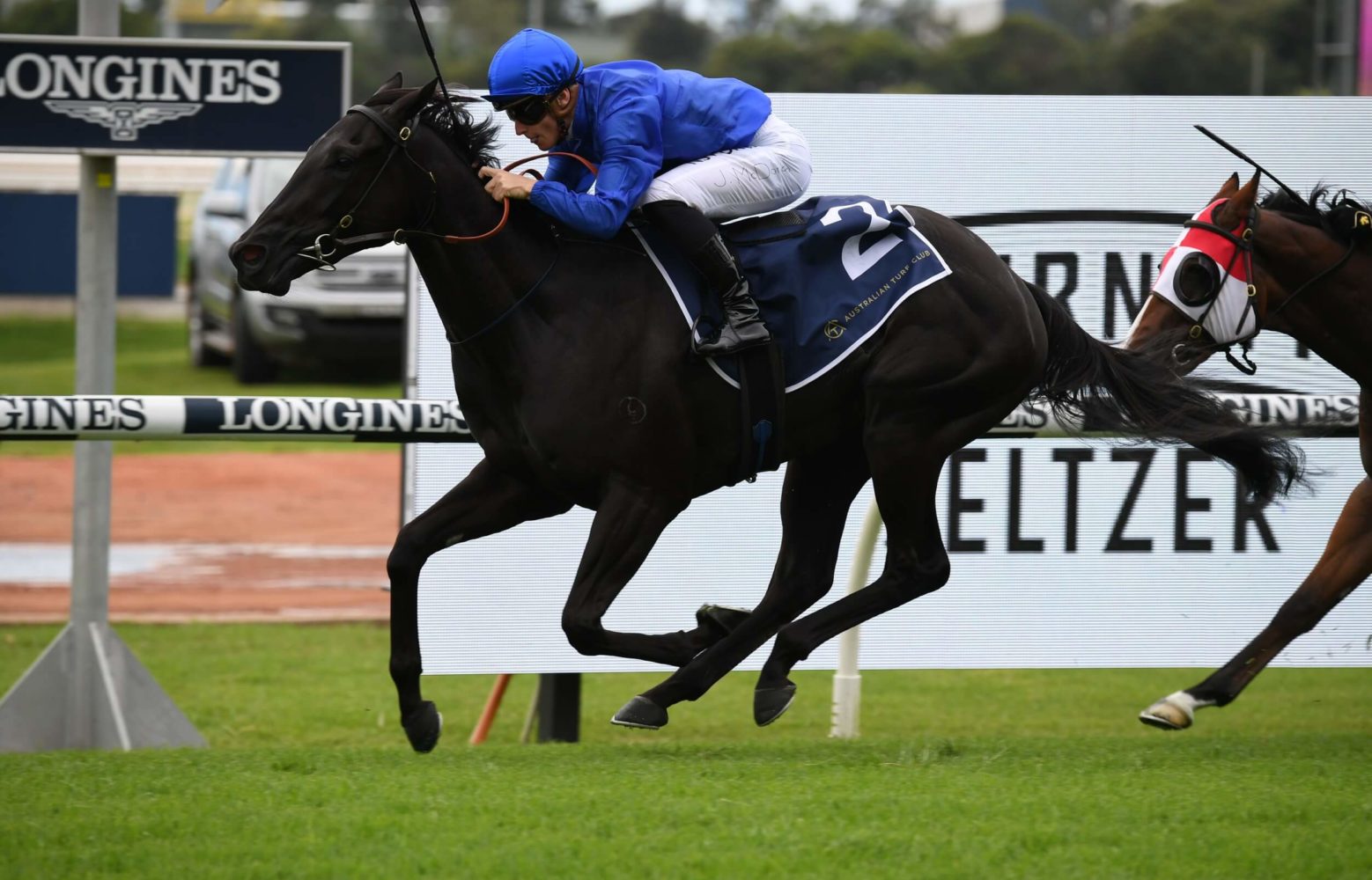Arcaded (Photo: Steve Hart) | Races.com.au