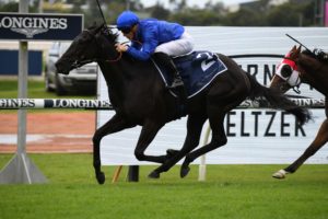 Arcaded (Photo: Steve Hart) | Races.com.au