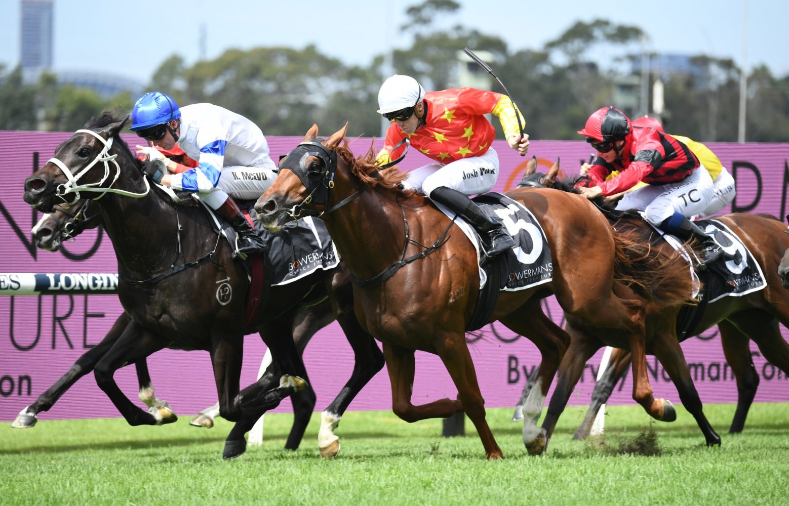 Shaquero (Photo: Steve Hart) | Races.com.au