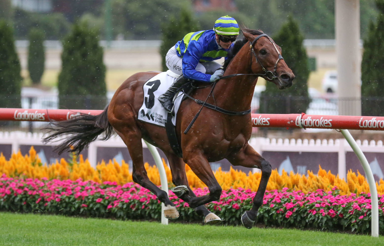 Grandslam (Photo: Ultimate Racing Photos) | Ladbrokes.com.au