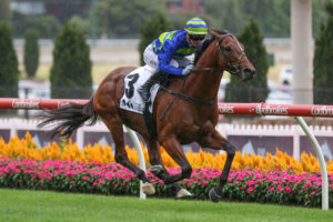 Grandslam (Photo: Ultimate Racing Photos) | Ladbrokes.com.au