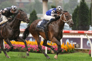 Mugatoo Horse Form (Photo: Ultimate Racing Photos) | Races.com.au