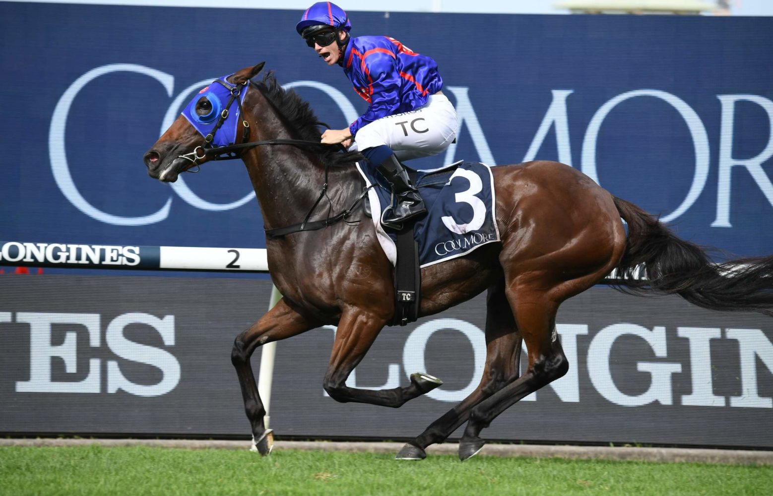 Krone (Photo: Steve Hart) | Races.com.au