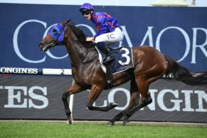Krone (Photo: Steve Hart) | Races.com.au