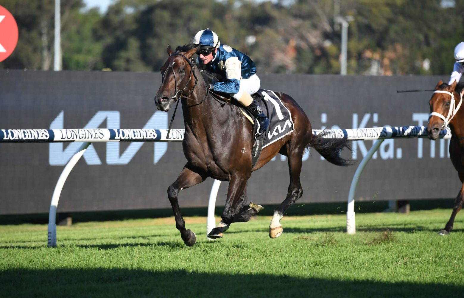 Sir Dragonet Horse Form (Photo: Steve Hart) | Races.com.au