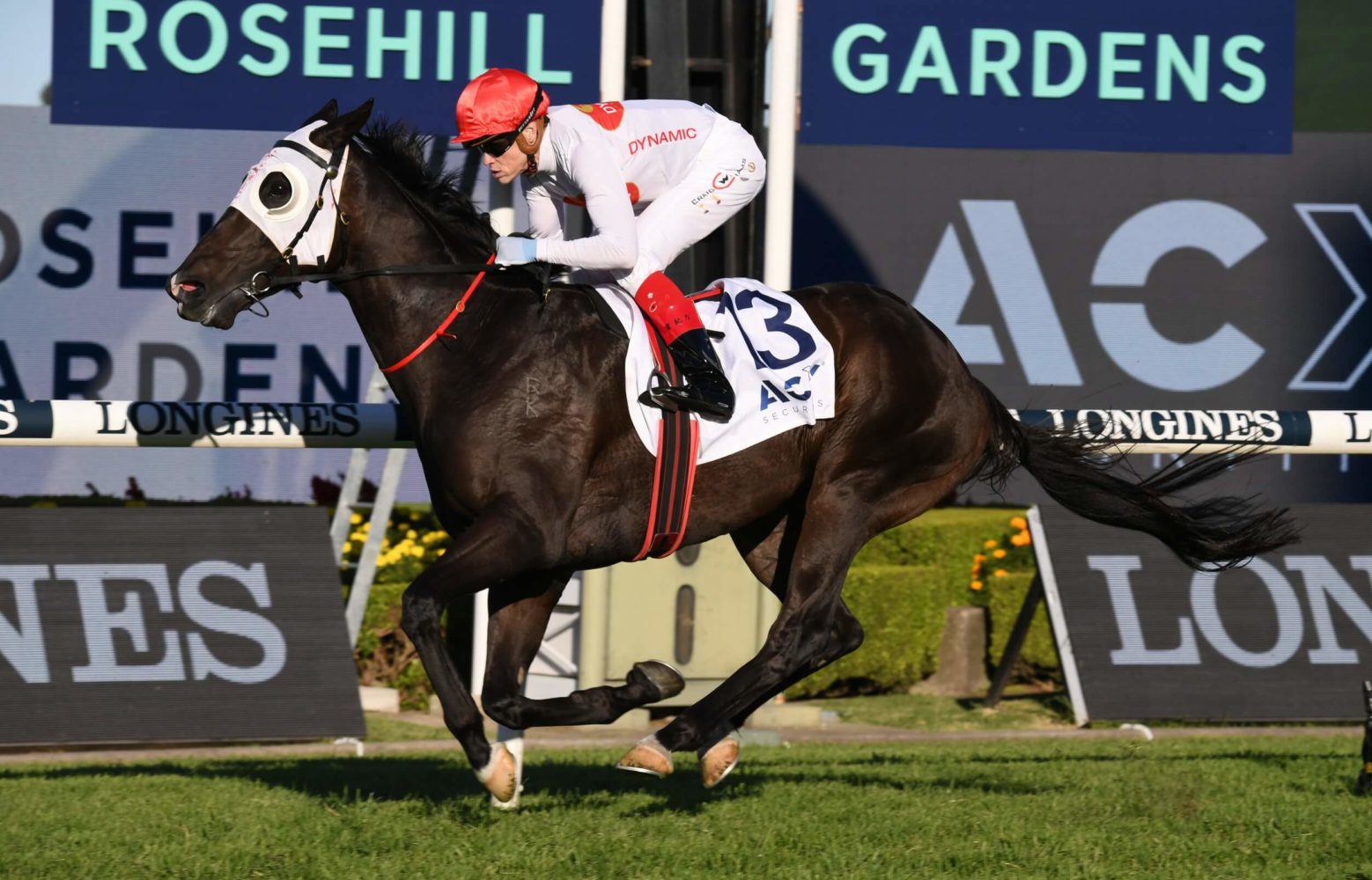 Yao Dash Horse Form (Photo: Steve Hart) | Races.com.au