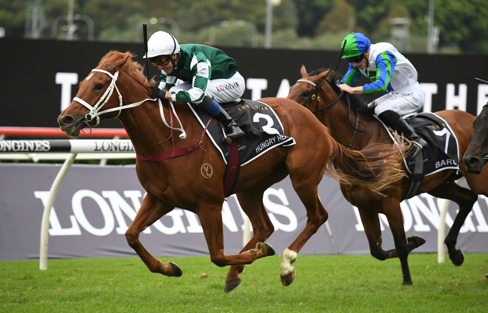 Hungry Heart Horse Form (Photo: Steve Hart) | Races.com.au